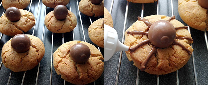 Backanleitung Spinnen-Cookies